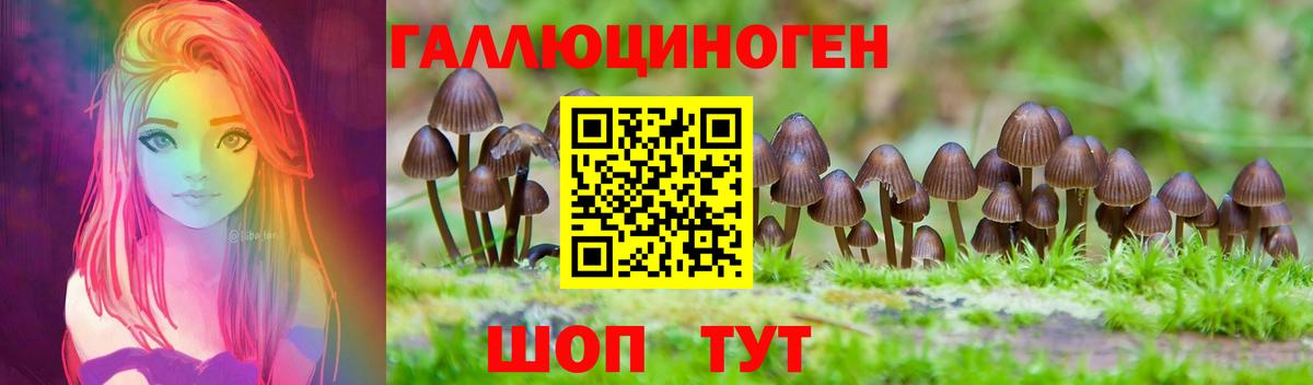 Луга  Галлюциногенные грибы Psilocybine cubensis  Галлюциногенные грибы GOLDEN TEACHER  Вход с VPN 